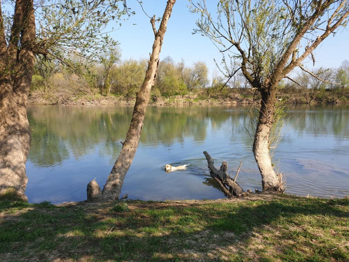Guest House Studio Apartman Marina - With Jacuzzi, Free Parking, Pet Friendly Карловац Экстерьер фото
